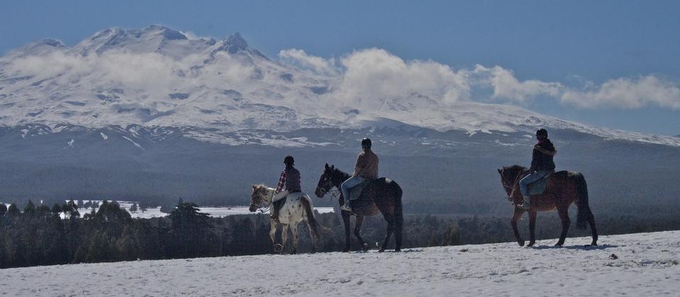 Horse Riding