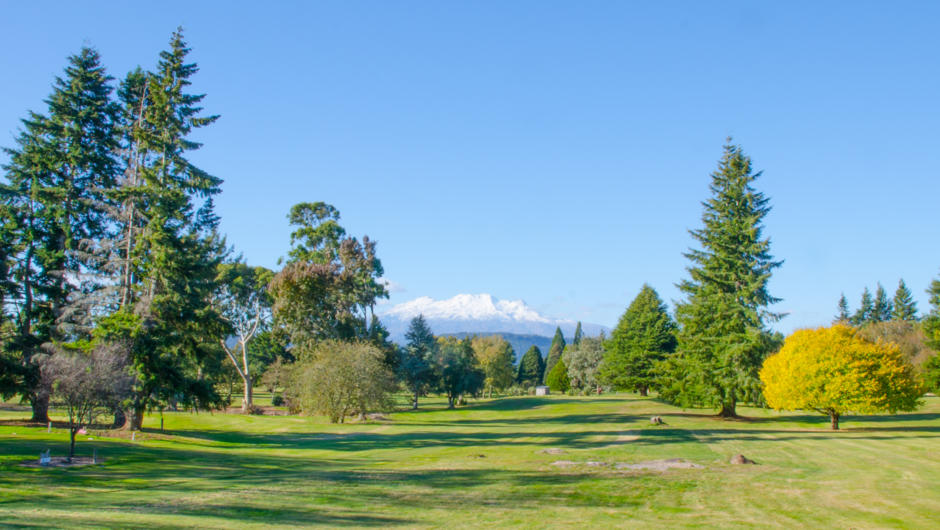 Ohakune Golf